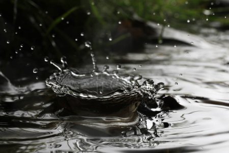 Téléchargez les photos : Macro d'une chute de pluie dans un environnement naturel - en image libre de droit