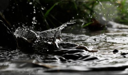 Foto de Macro de una caída de gota de lluvia en un entorno natural - Imagen libre de derechos