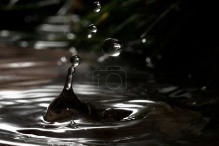 Photo for Macro of a falling rain drop in a natural environment - Royalty Free Image
