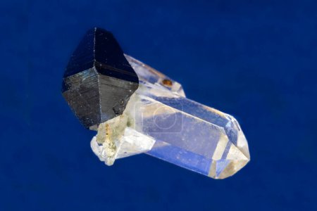 Photo for Closeup of Anatase crystal (one of 5 forms of Titatium Dioxide) attached to terminated quartz crystal. From Pakistan. Blue background. - Royalty Free Image