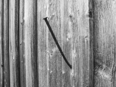 Foto de Primer plano de un clavo torcido y oxidado en la pared exterior de un granero de madera en un aspecto monocromo - Imagen libre de derechos