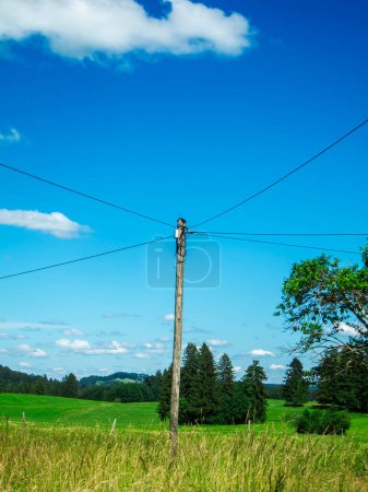 Téléchargez les photos : Vue paysage avec poteau télégraphique détaché sous le ciel bleu avec nuages blancs Bavière en été. - en image libre de droit