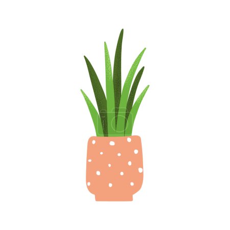 lllustration with house plant Sansevieria. Natural green home decor. Flat vector illustration isolated on white background