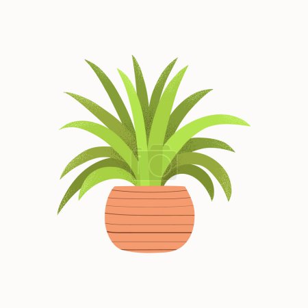 lllustration with popular house plant. Natural green home decor. Flat vector illustration isolated on white background