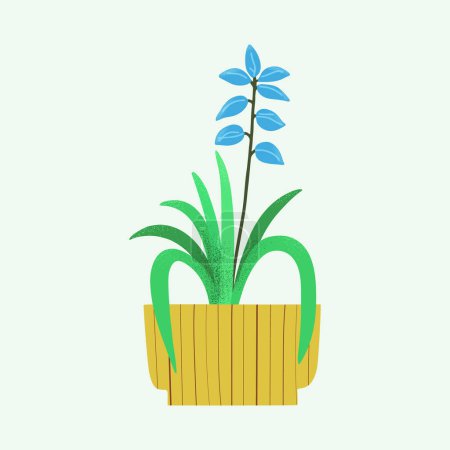 lllustration with popular house plant orchid. Natural green home decor. Flat vector illustration isolated on white background