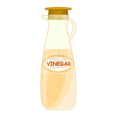 Illustration for Bottle of vinegar isolated on white background. Fruit cider vinegar in glass pitcher. Ingredients for cooking, baking, salad dressing and preservation. Flavoring balmy essence jug. Condiment and food dressing. Stock vector illustration - Royalty Free Image