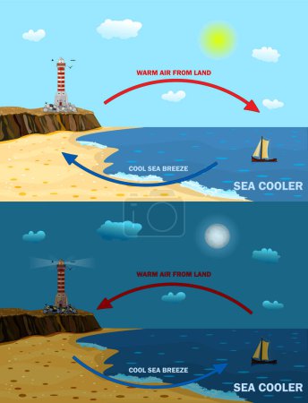Illustration for Science poster design for land and sea breeze. Local weather cause. Shore wind explanation scheme. Land and sea breeze vector illustration. Day and night air movement comparison with thermal warm and cold air circulation diagram. - Royalty Free Image