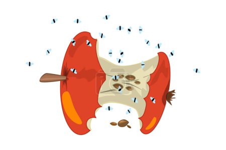 Illustration for Fruit flies and red apple core isolated on white background. Drosophila melanogaster. Insect swarming around food scraps. Organic waste or kitchen leftovers and pest. Stock vector illustration - Royalty Free Image