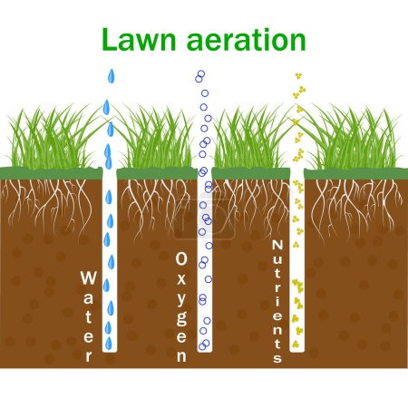 Lawn aeration. Concept of garden grass lawncare, landscaping, lawn grass care. Lawn aeration infographics. Enrichment with oxygen water and nutrients for lawn growth. Stock vector illustration