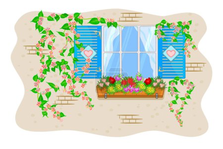 Fenster mit Fensterläden und Blumen isoliert auf weißem Hintergrund. Holzfenster mit Blumen im Topf und Kletterpflanzen. Hausfenster mit Vorhängen und blühenden Zweigen an der Wand.