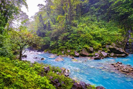 Rio Celeste Wasserfall und Teich im Tenorio Vulkan Nationalpark, Provinz Alajuela, Costa Rica.
