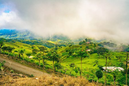 Vibrant landscape of Uvita, Costa Rica, with rolling hills and a farm under a foggy sky, showcasing the verdant biodiversity and serene beauty of Puntarenas Province. High quality photo, Uvita