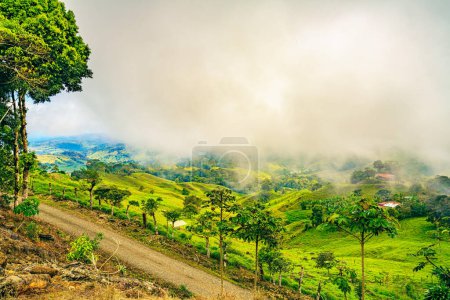 A dirt road winds through the vibrant green slopes of Uvita in Puntarenas Province, Costa Rica, under a hazy sky, capturing the dynamic interaction between human settlement and the lush Central