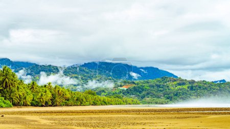 Dramatic coastal scene with mist over a tropical beach, fringed by dense palm trees and backed by mountains under a cloudy sky. High quality photo. Uvita Puntarenas Province Costa Rica.