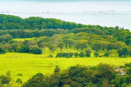 Aerial view of a tropical landscape, showcasing lush greenery, diverse tree canopy, and a meadow, with a hint of the oceans edge. High quality photo. Uvita Puntarenas Province Costa Rica.