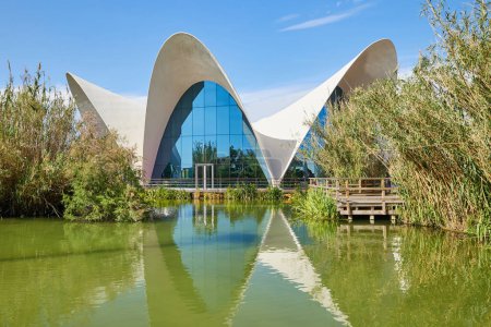 Foto de Edificio de restaurantes con reflexión en el estanque de Oceanografía Valencia, España. - Imagen libre de derechos