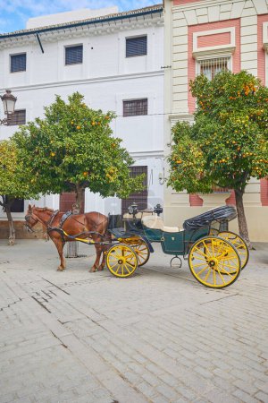 Traditional horse carriage in Seville, Andalusia, Spain.
