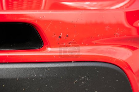 Crashed insects on car bumper. Insect remains on the red car bumper.