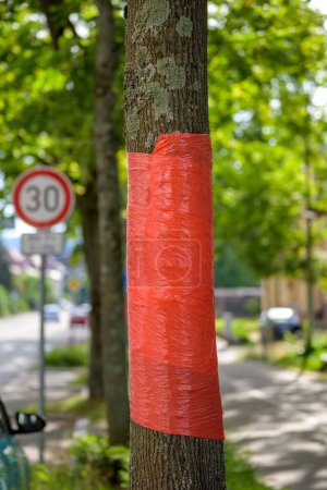 Téléchargez les photos : Un arbre dans la ville avec un ruban rouge en arrière-plan un panneau de limitation de vitesse - en image libre de droit