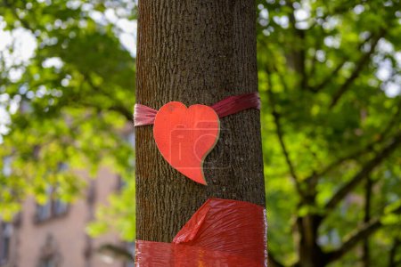 Foto de Acercamiento de un árbol en la ciudad con un corazón rojo y cinta roja como señal para salvar los árboles - Imagen libre de derechos