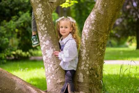 A young girl with curly hair is climbing a tree in a park.
