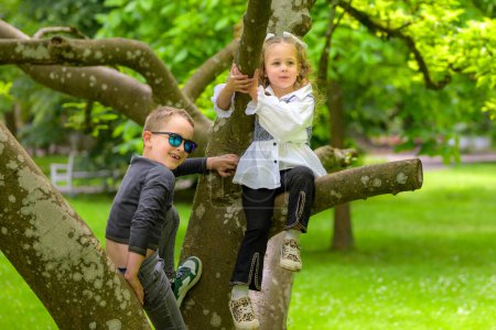 Two children, a boy and a girl, are happily playing on a tree in a park.