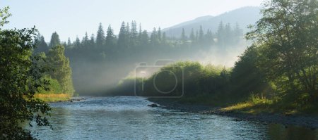 Panoramiczny widok leśnej łąki rzeki w porannej mgle. Piękna przyroda. Koncepcja wakacji letnich podróży. Cichy spokój naturalny tapety.