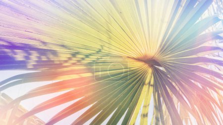 Palm leaf with a colorful gradient overlay, creating an artistic effect.