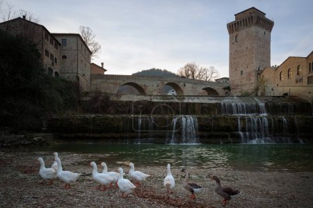 Téléchargez les photos : Ancien pont en pierre romaine et tour médiévale sur la rivière Metauro en Italie, dans la ville de Fermignano, petit village près d'Urbino - en image libre de droit