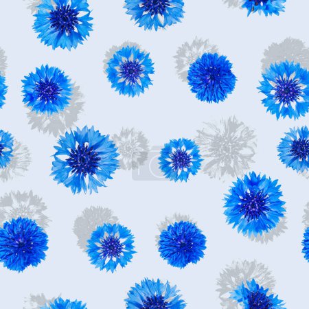 Foto de Patrón sin costuras de flores de aciano azul con sombra sobre fondo azul claro - Imagen libre de derechos