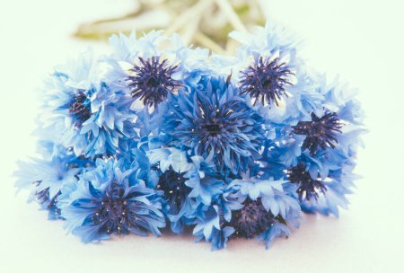 Foto de Ramo de flores azules aciano - tarjeta abstracta de estilo vintage con flor - Imagen libre de derechos