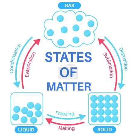 estados de la materia: sólido, líquido y gas