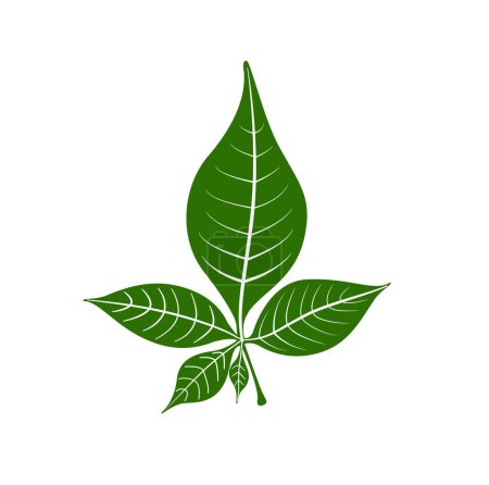 Téléchargez les illustrations : The five Bilva leaf (Belpatra) vector icon - en licence libre de droit