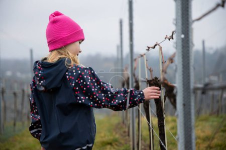 A child walks among the vineyards and beautiful landscape.
