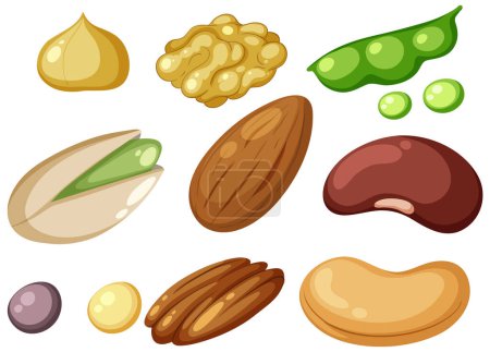 Group of protein foods illustration