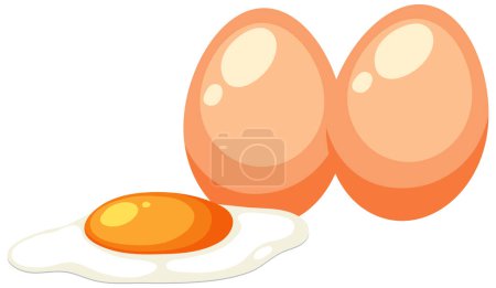 Illustration for Two eggs vector concept illustration - Royalty Free Image