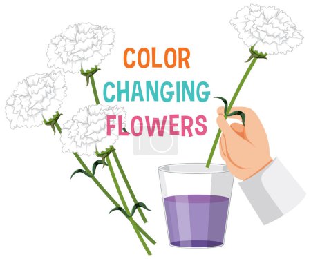Illustration for Colour changing flower science experiment illustration - Royalty Free Image
