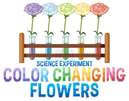 Illustration for Color changing flowers science experiment illustration - Royalty Free Image