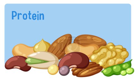Illustration for Variety of protein foods illustration - Royalty Free Image