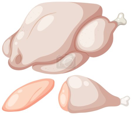 Illustration for Raw chicken meat vector illustration - Royalty Free Image