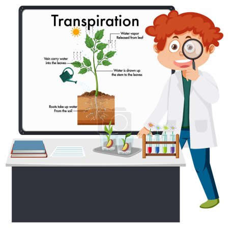Ilustración de Kid explaining plant transpiration illustration - Imagen libre de derechos