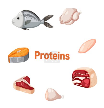 Illustration for Meats surrounding proteins text illustration - Royalty Free Image