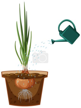 Ilustración de Onion plant and watering can illustration - Imagen libre de derechos