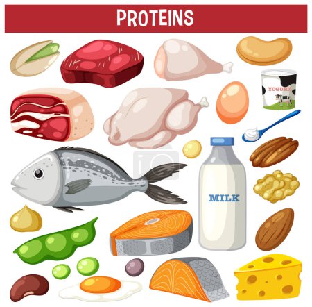 Variety of protein meats with text illustration