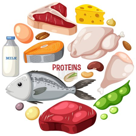 Illustration for Variety of protein meats with text illustration - Royalty Free Image