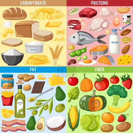 Vektor für The four food groups illustration - Lizenzfreies Bild