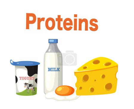 Téléchargez les illustrations : Proteins text with dairy products illustration - en licence libre de droit