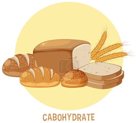Illustration for Variety of carbohydrates foods illustration - Royalty Free Image