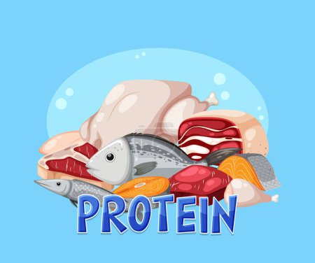 Téléchargez les illustrations : Variety of protein foods poster illustration - en licence libre de droit