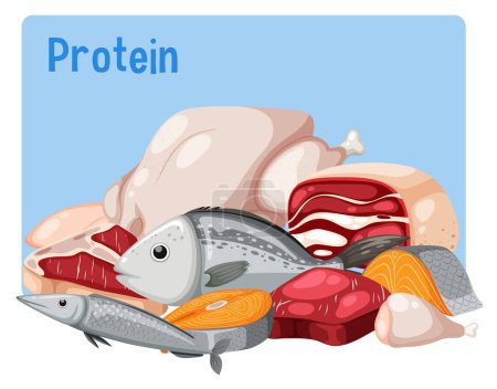 Téléchargez les illustrations : Variety of protein foods vector illustration - en licence libre de droit